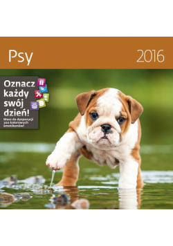 Kalendarz 2016 Psy Helma 30