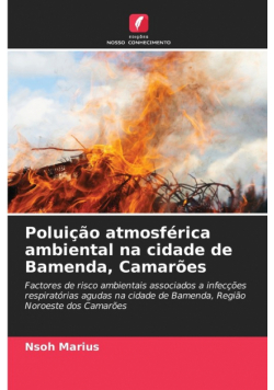Poluição atmosférica ambiental na cidade de Bamenda, Camarões