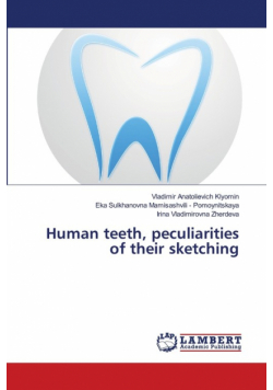 Human teeth, peculiarities of their sketching