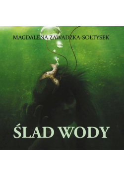 Ślad wody