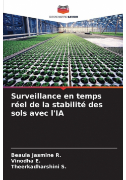 Surveillance en temps réel de la stabilité des sols avec l'IA