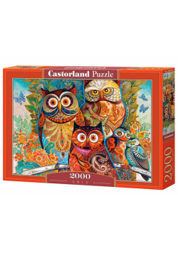 Puzzle Owls 2000