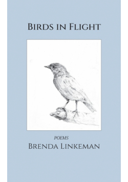 Birds in Flight