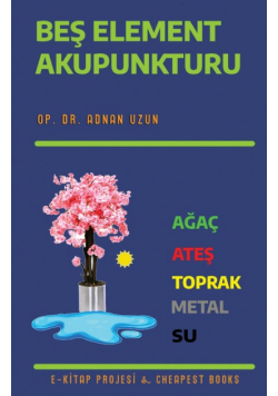 Beş Element Akupunkturu