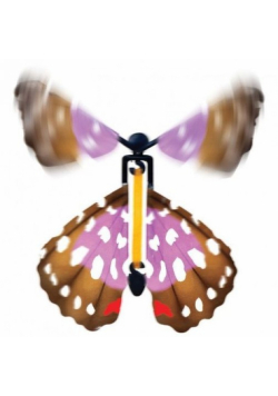 Trzepoczący motyl