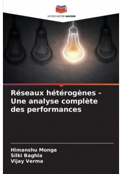 Réseaux hétérogènes - Une analyse complète des performances