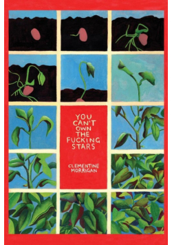 You Can't Own the Fucking Stars