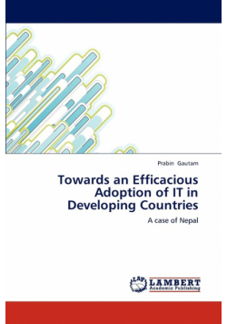 Towards an Efficacious Adoption of IT in Developing Countries