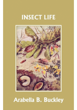 Insect Life (Yesterday's Classics)
