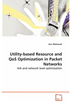 Utility-based Resource and QoS Optimization in Packet Networks - link and network level optimization
