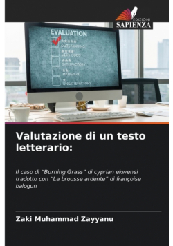 Valutazione di un testo letterario