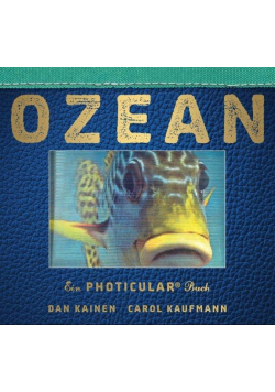 Ozean