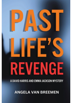 Past Life's Revenge