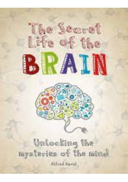 The Secret Life of the Brain