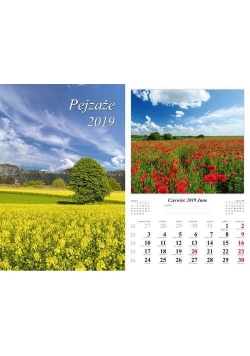Kalendarz 2019 Pejzaże 7 planszowy RADWAN
