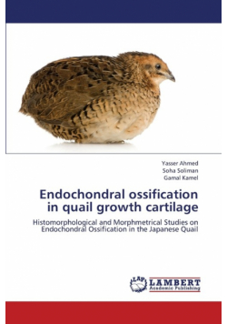 Endochondral Ossification in Quail Growth Cartilage
