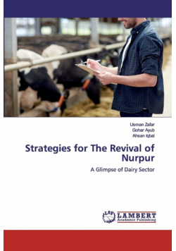 Strategies for The Revival of Nurpur