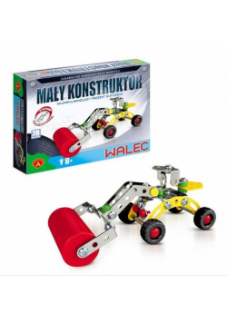 Mały konstruktor Walec