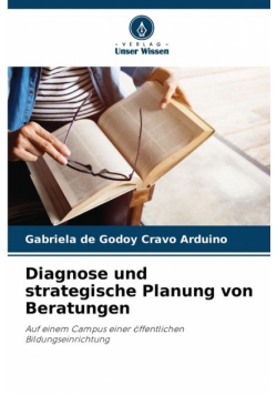 Diagnose und strategische Planung von Beratungen