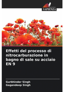 Effetti del processo di nitrocarburazione in bagno di sale su acciaio EN 9
