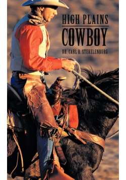 High Plains Cowboy