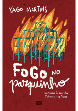 Fogo no parquinho