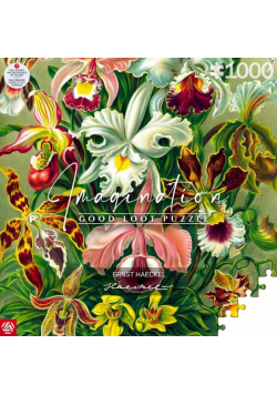 Puzzle 1000 Ernst Haeckel Orchidea / Orchid