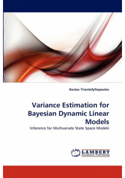 Variance Estimation for Bayesian Dynamic Linear Models