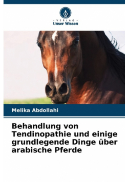 Behandlung von Tendinopathie und einige grundlegende Dinge über arabische Pferde