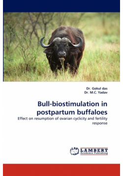 Bull-Biostimulation in Postpartum Buffaloes