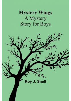 Mystery Wings; A Mystery Story for Boys