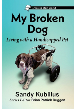 My Broken Dog