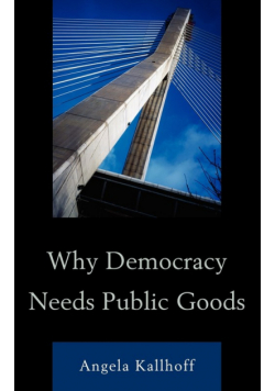 Why Democracy Needs Public Goods
