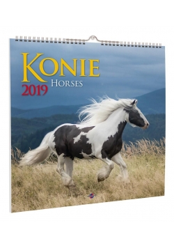 Kalendarz 2019 KD-22 Konie AVANTI