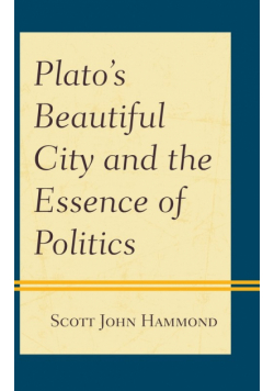 Plato's Beautiful City and the Essence of Politics