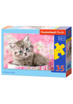Puzzle Kitten in Box 35