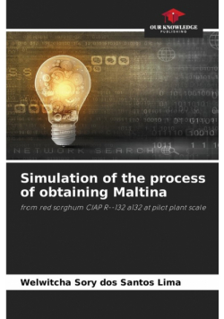 Simulation of the process of obtaining Maltina