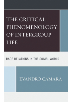 The Critical Phenomenology of Intergroup Life