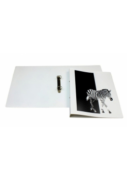 Segregator PP A4 biały Zebra