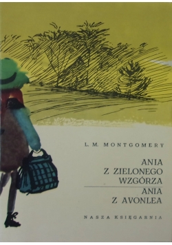 Ania z zielonego wzgórza,Ania z Avonlea