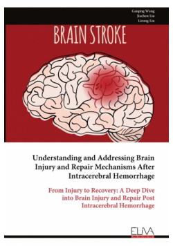 Understanding and Addressing Brain Injury and Repair Mechanisms After Intracerebral Hemorrhage