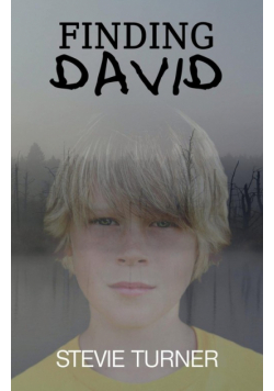 Finding David