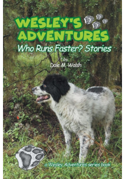 Wesley's Adventures