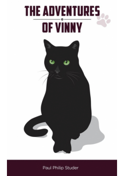 The Adventures of Vinny