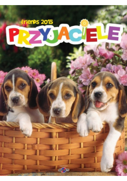 Kalendarz 2015 Przyjaciele