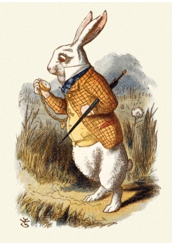Karnet B6 z kopertą The White Rabbit