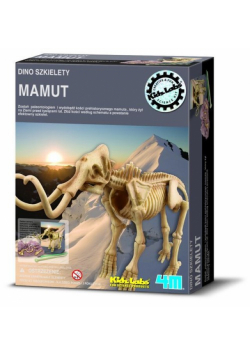 Dino szkielety Mamut
