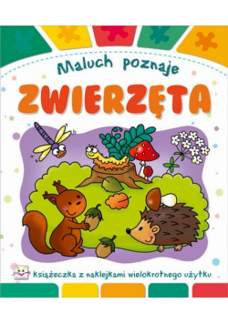 Maluch poznaje Zwierzęta
