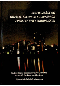 Bezpieczeństwo dużych i średnich aglomeracji miejskich