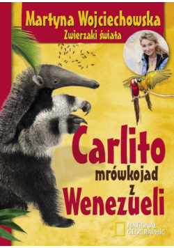 Carlito mrówkojad z Wenezueli